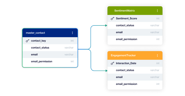 single customer view
