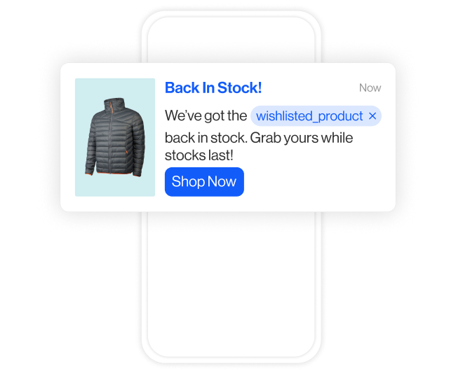 mobile push notifications